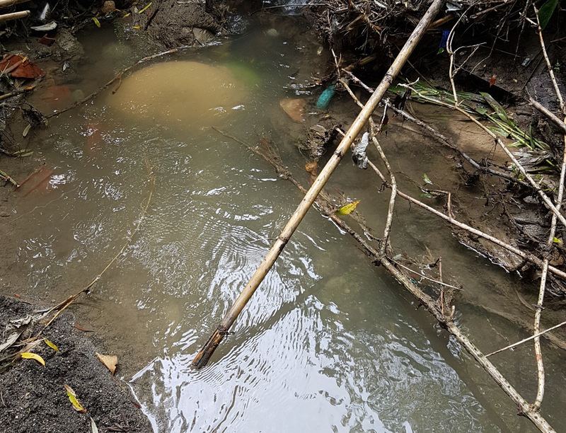 Corso d'acqua con detriti